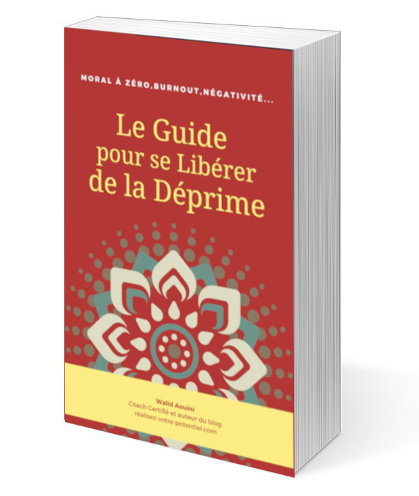 Ebook-Visual